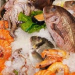 Fish food