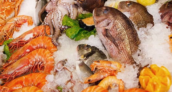 Fish food Fishing for seafood fraud report of questionable value