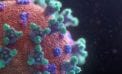 Eight things you need to know about the hunt for a COVID-19 vaccine Eight things you need to know about the hunt for a COVID-19 vaccine