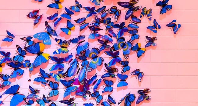 Putting your nervous butterflies to work Putting your nervous butterflies to work