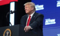 trump usa scandal Why some people are immune from scandal – until they’re not