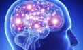 Multiple sclerosis Brain molecule helps ‘wake up’ cells that could help tackle MS: study