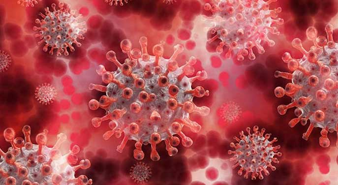 coronavirus cell covid-19 virus blood New study may help explain low oxygen levels in COVID-19 patients