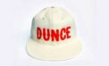 dunce The rise of the golden age of stupidity