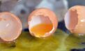 Broken eggs Politicians are long on promises but short on delivery