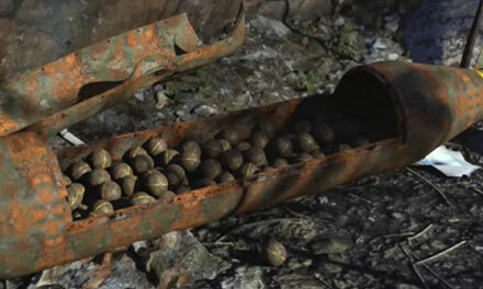 Are cluster bombs in Ukraine a necessary evil or a step too far?